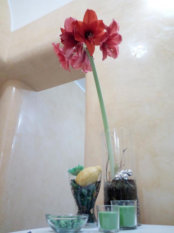 Residence Stendhal Guest House Civitavecchia Bagian luar foto